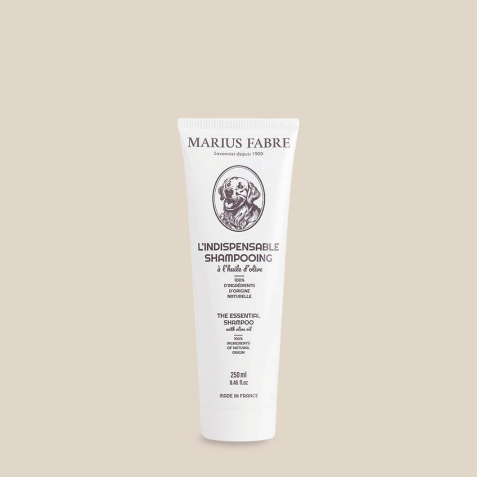 Shampooing à l'Huile d'Olive – Spécial Chien