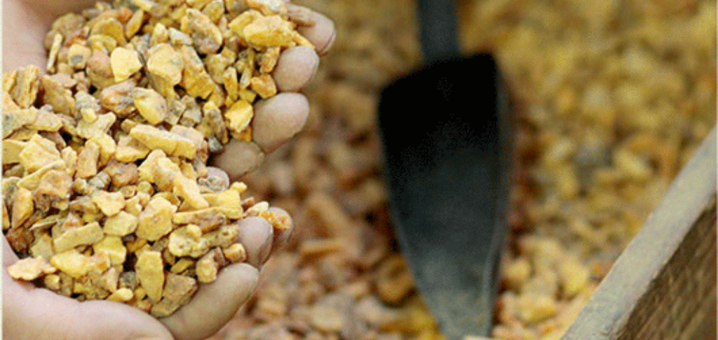 Benjoin utilisé pour le Papier d'Arménie